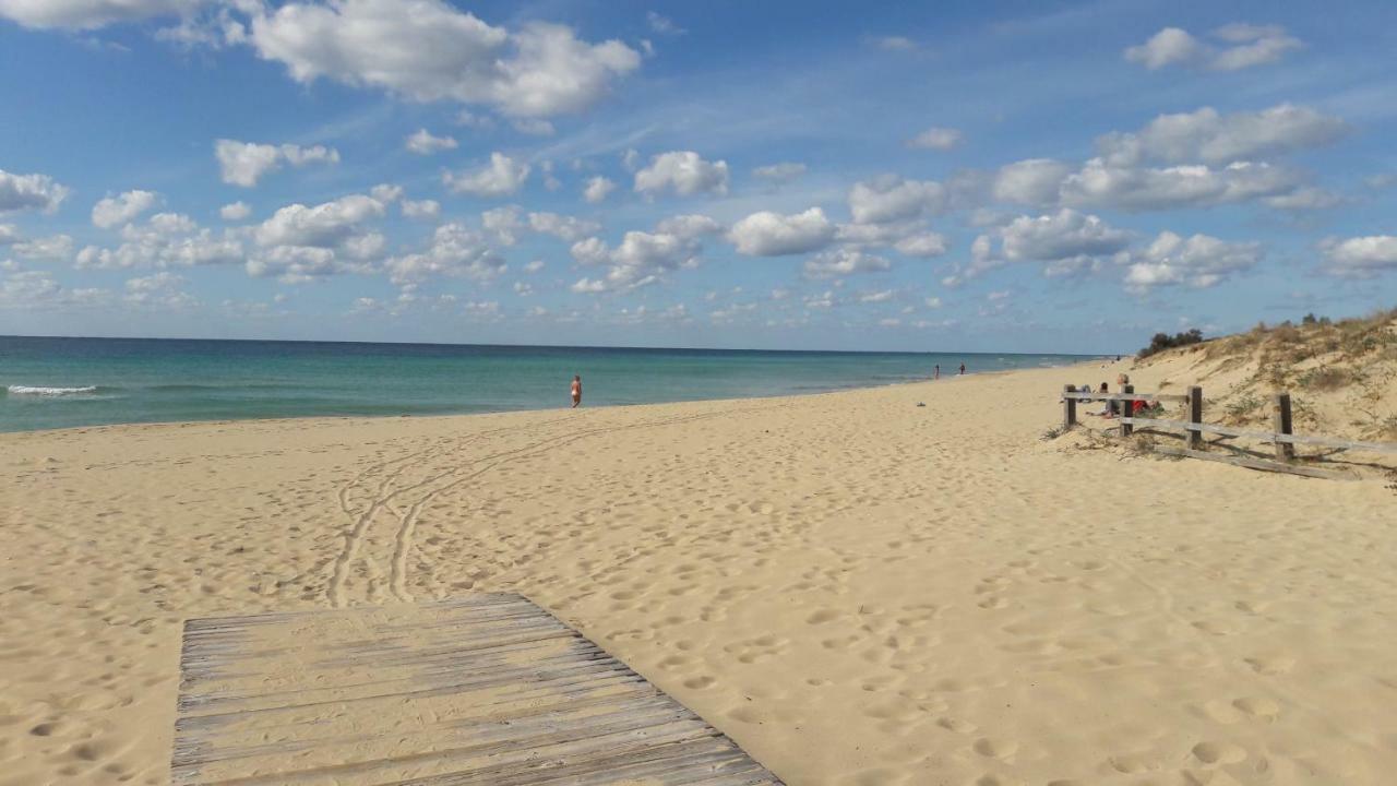 La Stanza Del Paradiso Torre Pali Zewnętrze zdjęcie